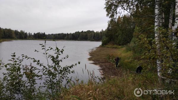 Национальный парк Валдайский (Россия, Новгородская область) фото