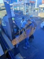 Туристическая фирма "Вокруг Сочи" (Россия, Сочи) фото