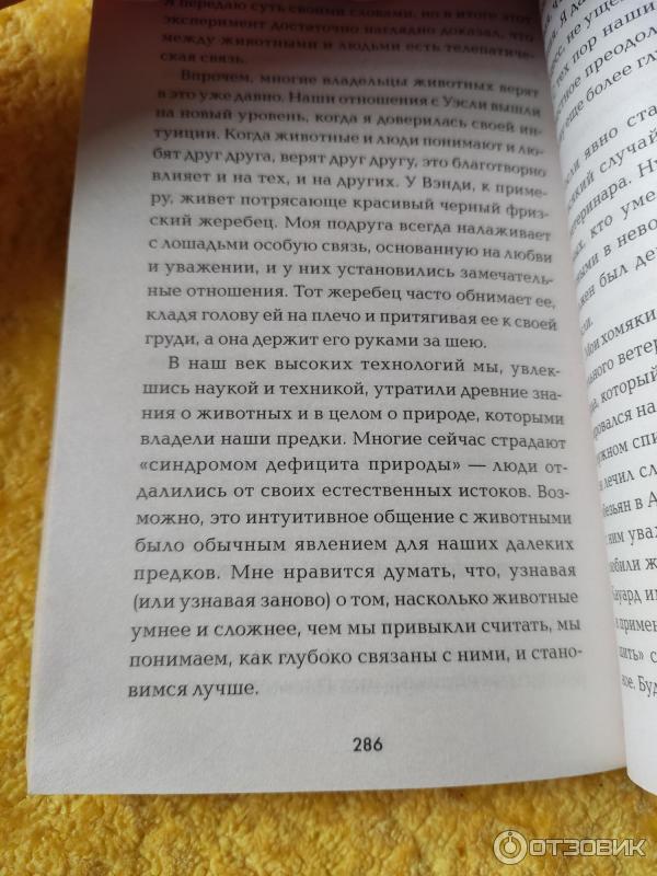 Книга Сова по имени Уэсли - Стэйси О'Брайен фото