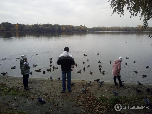 Природно-исторический парк Косинский (Россия, Москва) фото