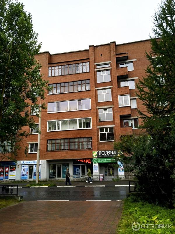 Авито Купить Квартиру В Оленегорске Мурманской Области