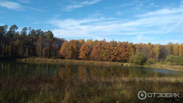 Усадьба Чернышевых (Россия, Ярополец) фото