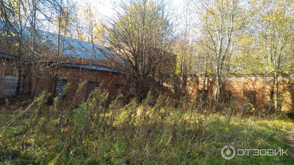 Усадьба Чернышевых (Россия, Ярополец) фото