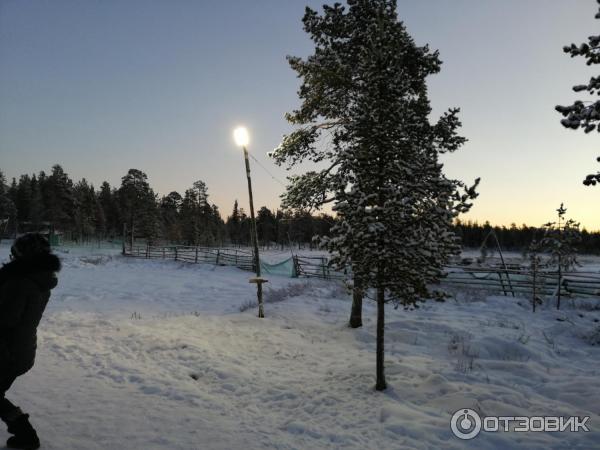 Саамский музей Самь Сыйт (Россия, Ловозеро) фото