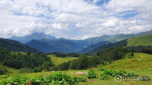 Экскурсия на Альпийские луга (Абхазия, Гудаутский район) фото