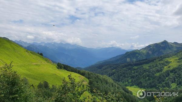 Экскурсия на Альпийские луга (Абхазия, Гудаутский район) фото