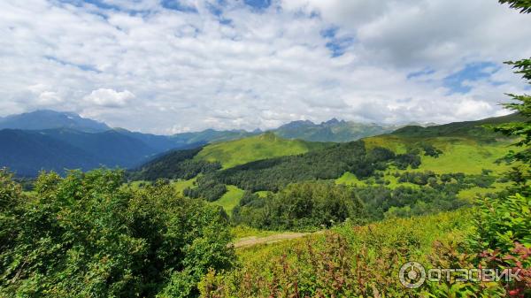 Экскурсия на Альпийские луга (Абхазия, Гудаутский район) фото