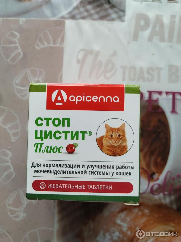 Стопцистит для котов