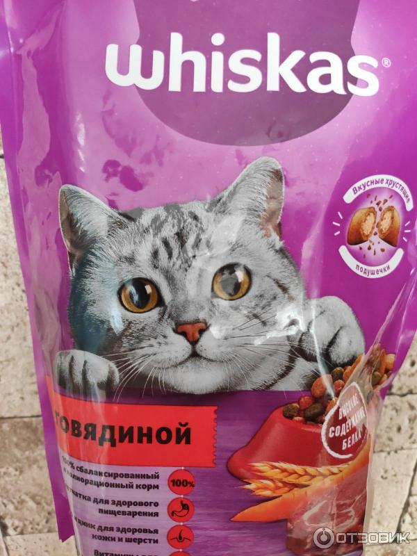 Вискас сухой корм состав. Вискас сухой корм с говядиной. кошачий корм реклама.