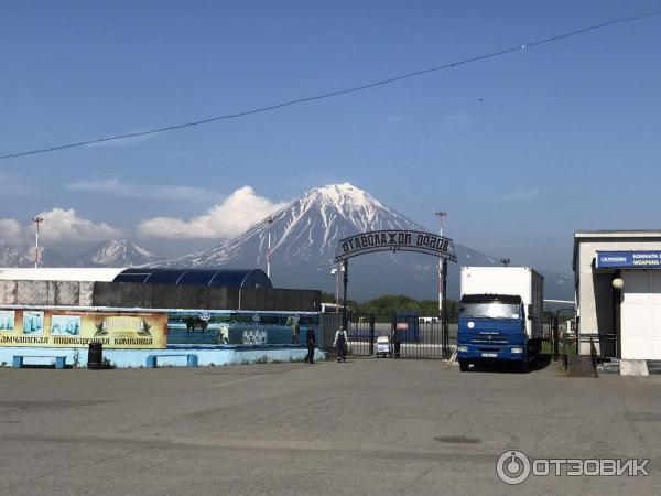 Полуостров Камчатка (Россия) фото