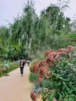 Ботанический сад МГУ (Аптекарский огород) (Россия, Москва) фото