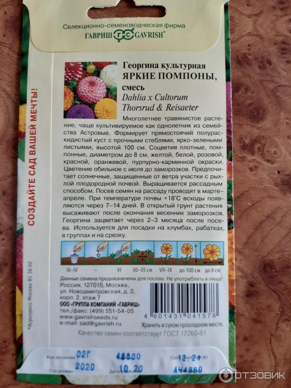 Семена Гавриш Георгина культурная Яркие помпоны