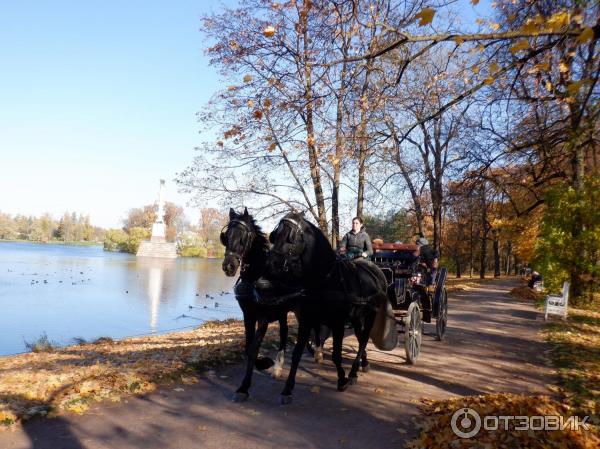 Прогулка по парку с ветерком