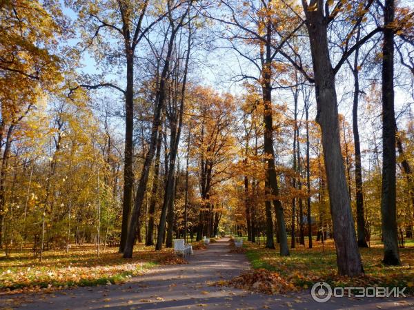 Екатерининский парк в городе Пушкин (Россия, Санкт-Петербург) фото