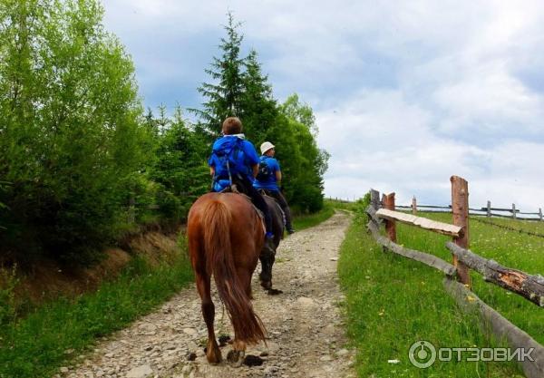 Отдых в с. Верховина (Украина, Ивано-Франковская область) фото