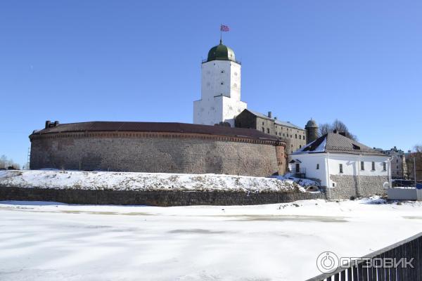 Экскурсия на башню Святого Олафа (Россия, Выборг) фото