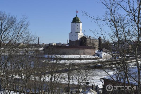 Экскурсия на башню Святого Олафа (Россия, Выборг) фото