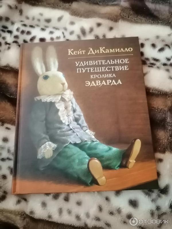 Книга Приключение Кролика Купить