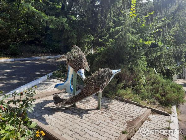 Санаторий им. Горького (Россия, Воронеж) фото