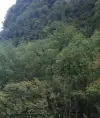 Иринка Михайлова