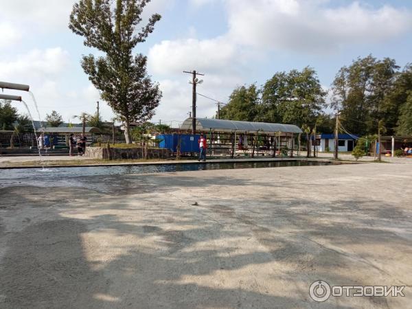 Абхазия фото пляжа и города достопримечательности