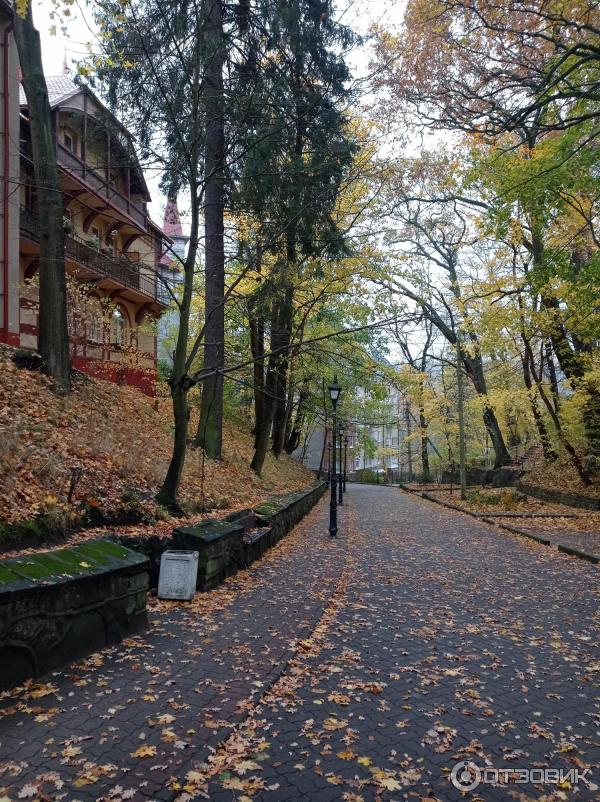 Экскурсия по г. Светлогорск (Россия, Калининградская область) фото