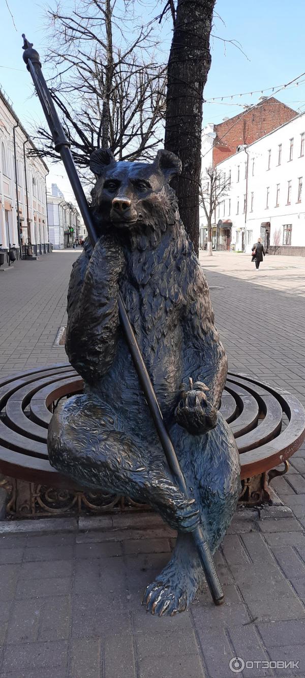 Медведики в ярославле