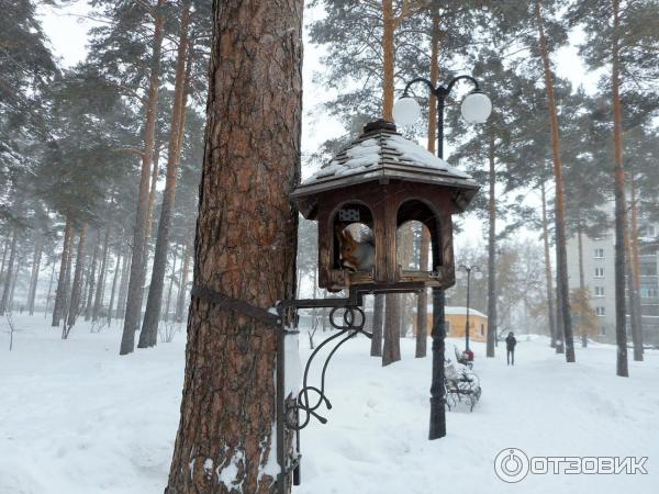 Парк Эдемский сад (Россия, Новосибирск) фото