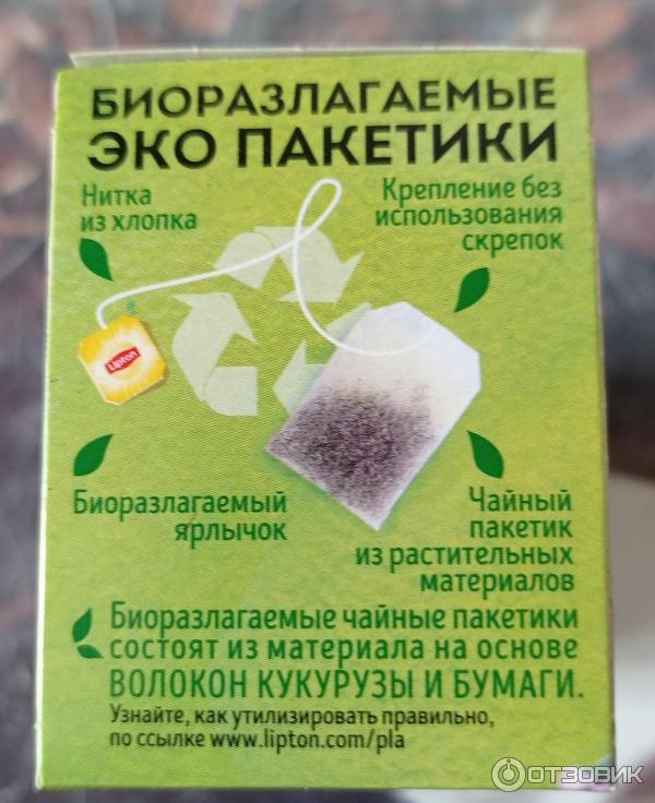 Чай Lipton Душистый чабрец фото