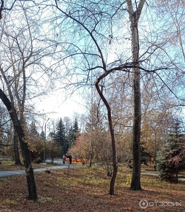 Харитоновский сад (Парк Пионеров) (Россия, Екатеринбург) фото