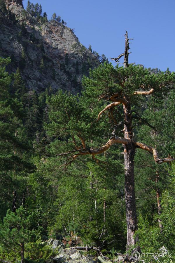 Бадукские озера (Россия, Карачаево-Черкесия) фото