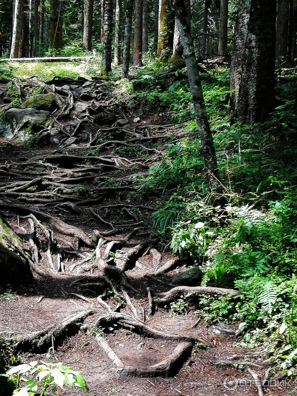 Бадукские озера (Россия, Карачаево-Черкесия) фото