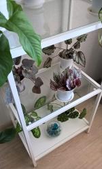 Стеллаж Ikea Витше фото
