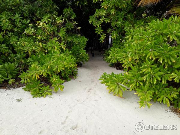 Отель Reethi Beach Resort (Мальдивы) фото