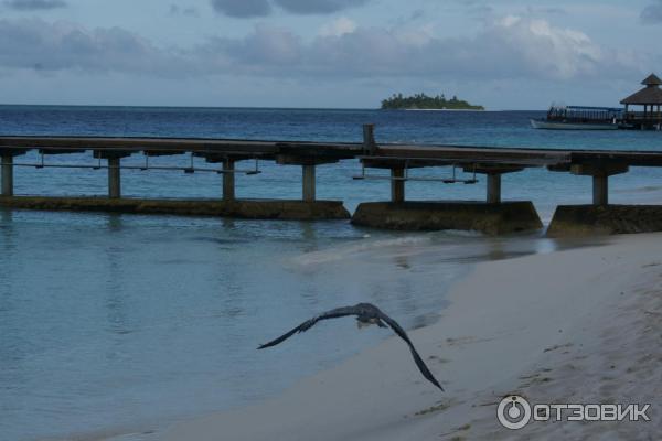 Отель Reethi Beach Resort (Мальдивы) фото