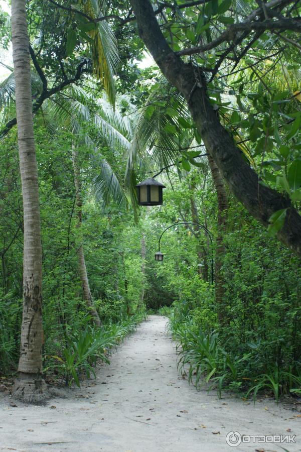 Отель Reethi Beach Resort (Мальдивы) фото