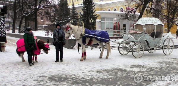 Улица Большая Покровская (Россия, Нижний Новгород)