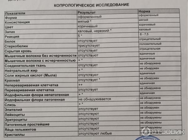 Как сдавать копрограмму взрослому правильно. Копрограмма анализ. Анализ кала на копрограмму. Исследование кала копрограмма. Емкость для обследования кала на копрограмму.