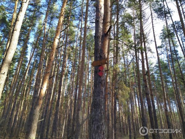 Экологическая Тропа Паустовского фото