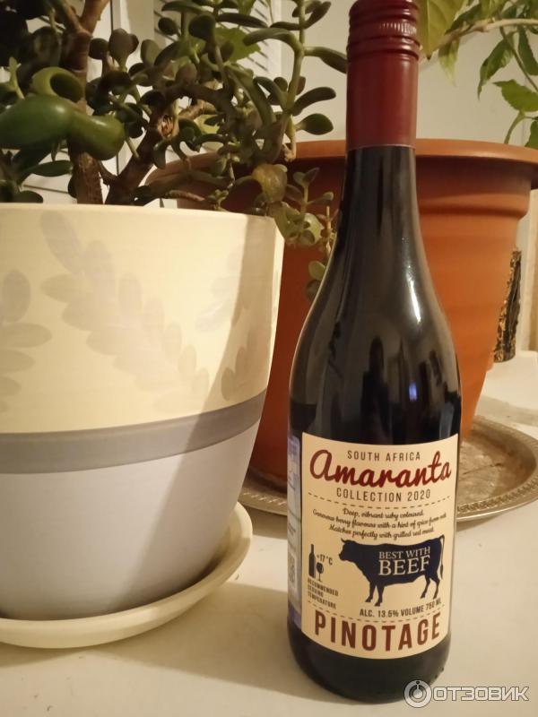 Вино Amaranta Pinotage фото