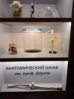 Музей Черепов и Скелетов "МЧС" (Россия, Зеленоградск) фото