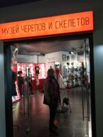 Музей Черепов и Скелетов "МЧС" (Россия, Зеленоградск) фото