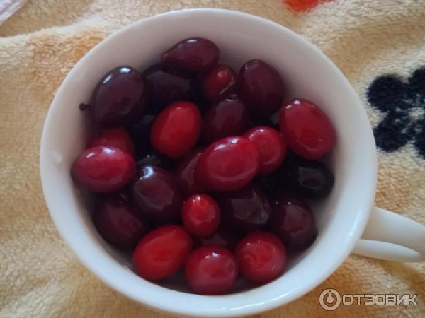 Центральный рынок