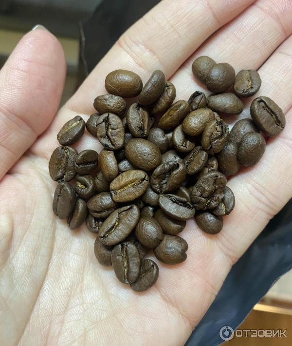 Кофе в зернах Paulig Arabica Dark фото