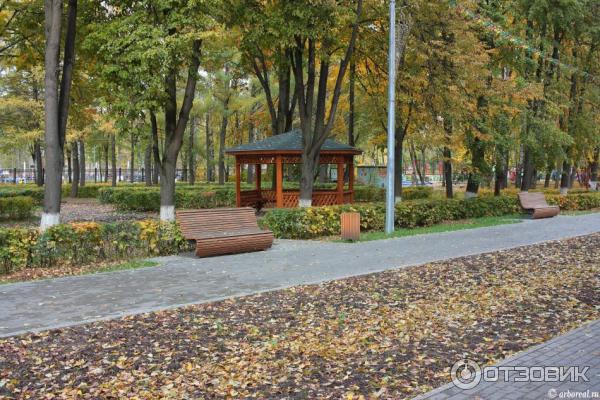 Отзыв о Центральный городской парк г. Королева (Россия, Московская область) Разв