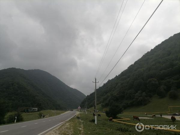 Экскурсия по Чеченской республике (Россия) фото