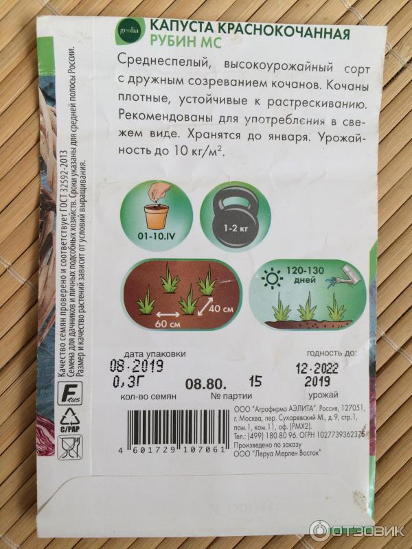 Семена Капуста Краснокочанная Рубин МС Geolia