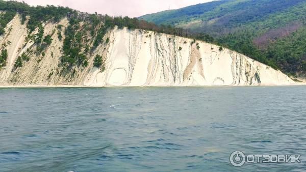 Морские прогулки на теплоходе Саламандра (Россия, Геленджик) фото