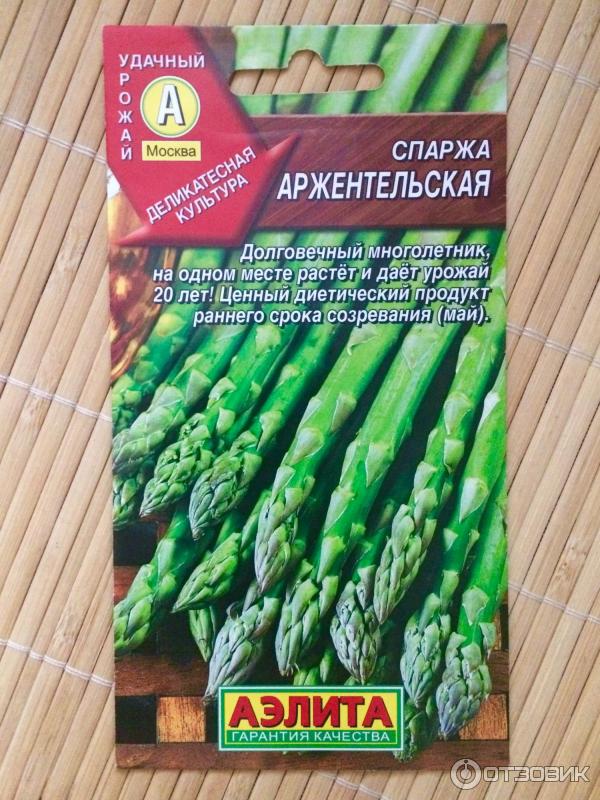 Спаржа Семена Купить