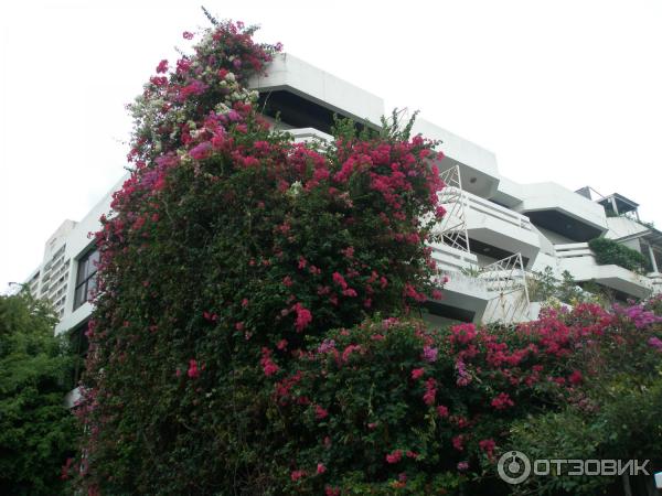 Отель Jomtien Longstay Hotel (Таиланд, Паттайя) фото